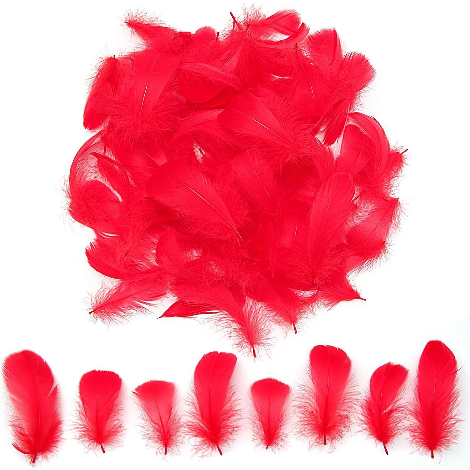 Colorful Feathers Set