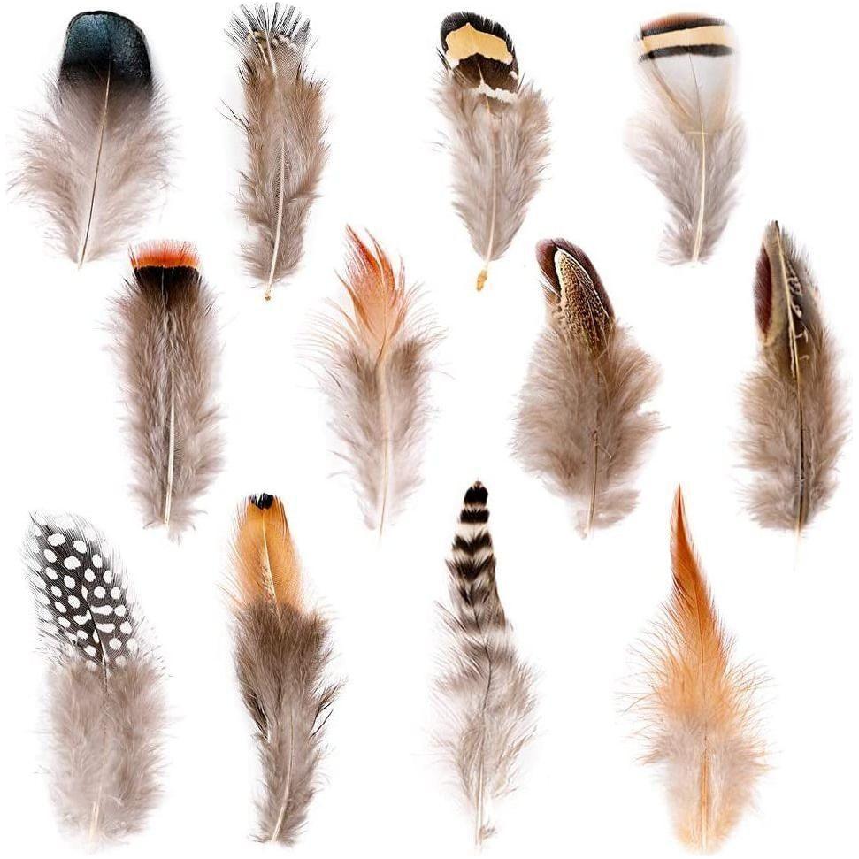 Natural Assorted Feathers