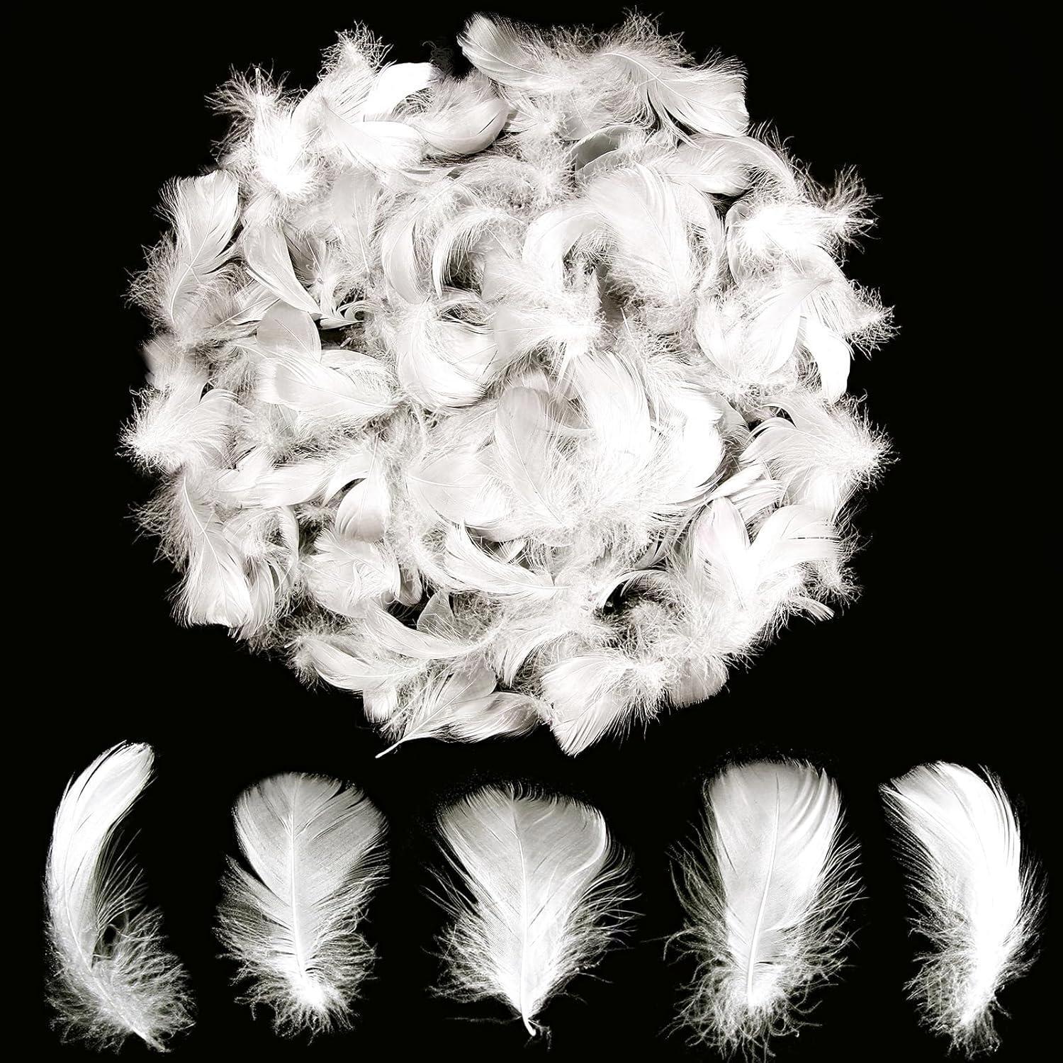Colorful Feathers Set