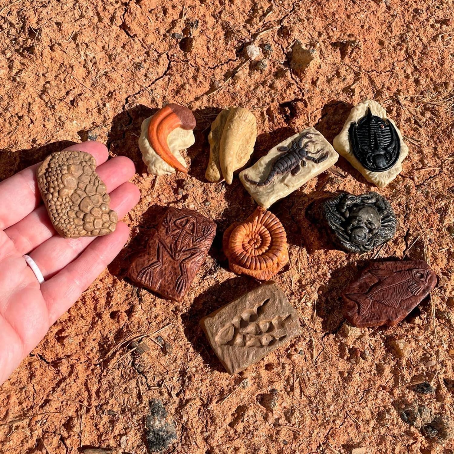 Ancient Fossils Miniatures