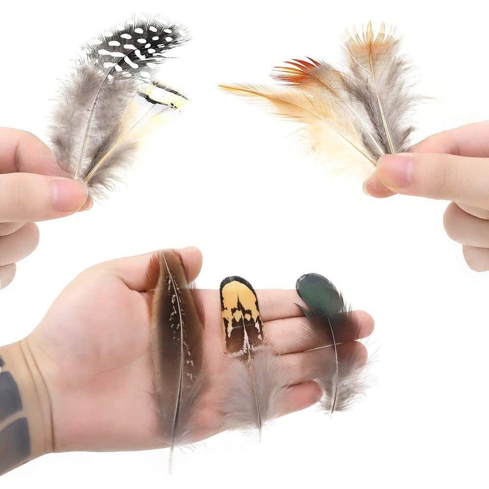 Natural Assorted Feathers