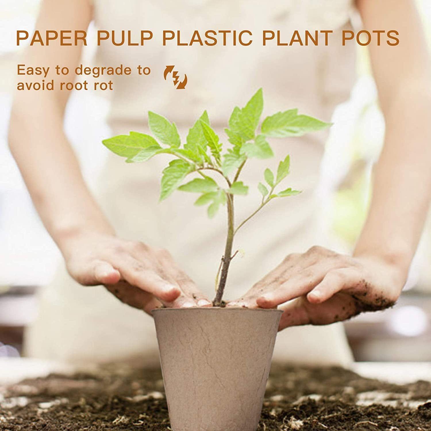 Peat Plant Pots for Plantings