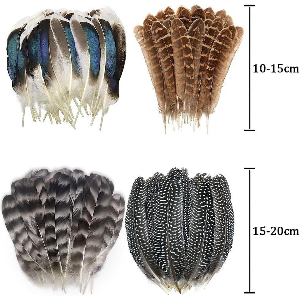 40Pcs Natural Pheasant Feathers, Spotted Feathers, Turkey Feathers, 4 Styles Feathers for Crafts DIY Hat Floral Arrangements Wing Quill Wedding Home Party