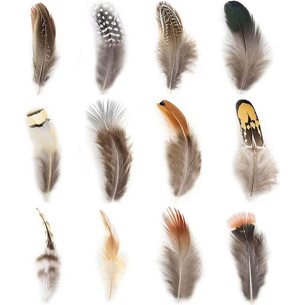 Natural Assorted Feathers