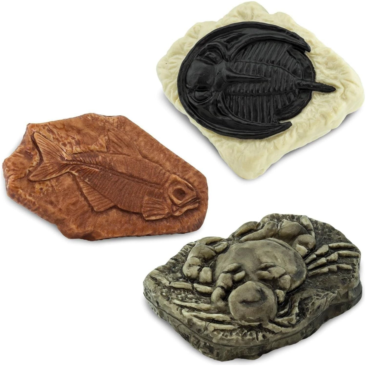 Ancient Fossils Miniatures