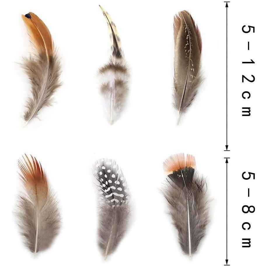 Natural Assorted Feathers