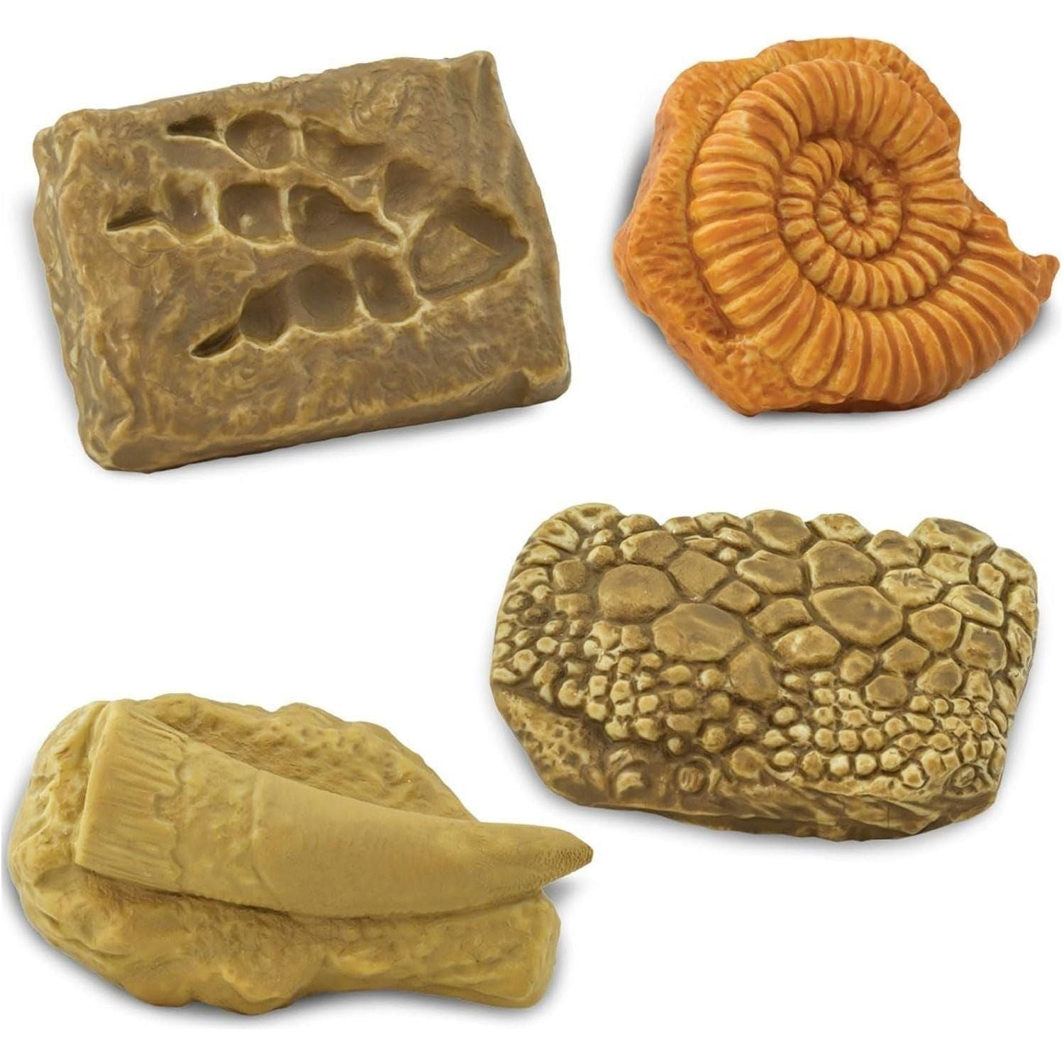 Ancient Fossils Miniatures